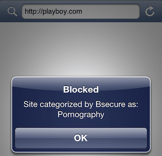 bsecure blocked page