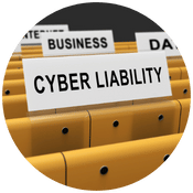 Cyber insurance Review